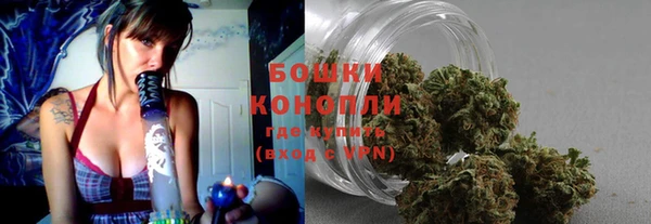 индика Киров