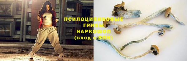 меф Пересвет
