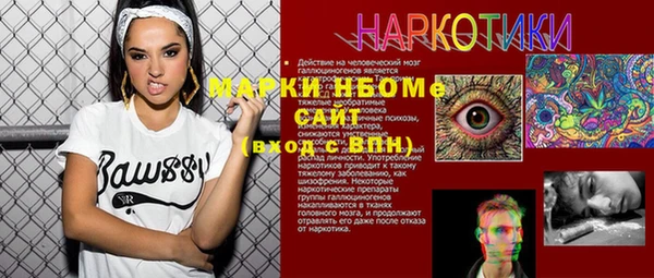 индика Киров